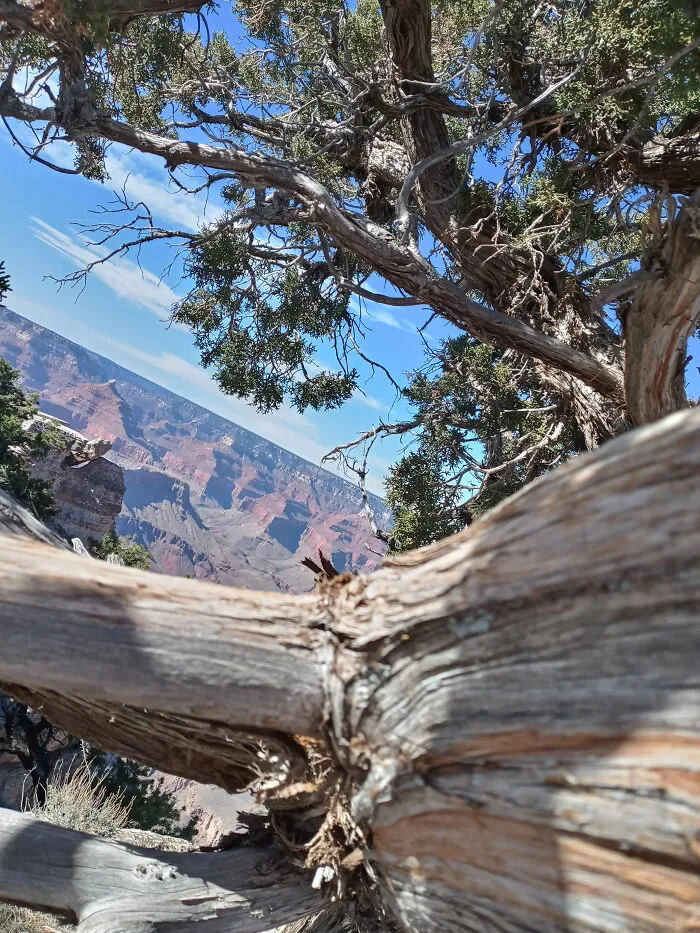 Grand Canyon National Park
