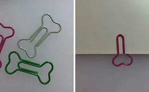 50 People Who Absolutely Knew What They Were Doing And Went For It Anyway