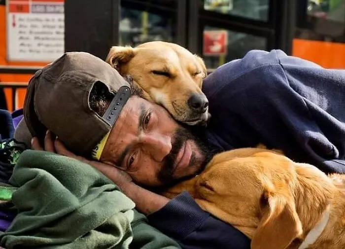 30 Photos That Document The Lives Of Homeless People And Their Dogs In Brazil Shared On This IG Page