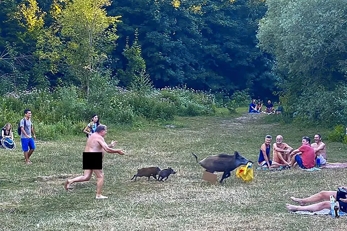 Meanwhile In Germany