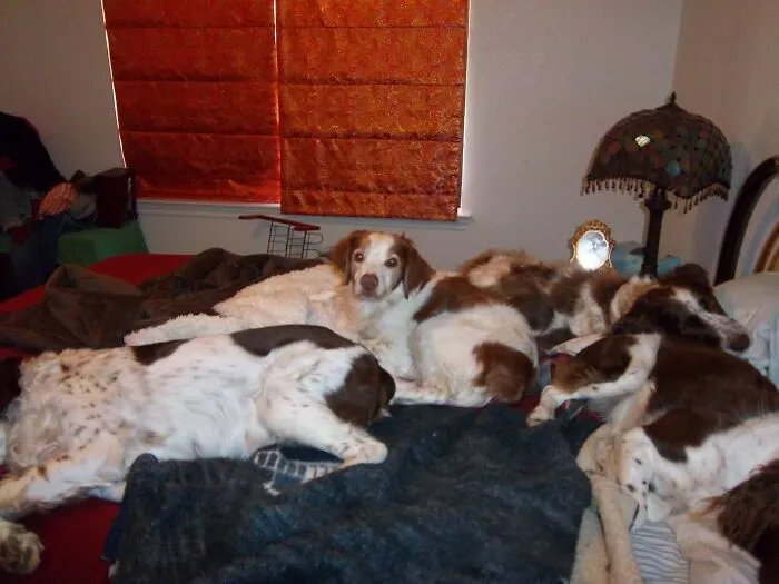 My Babies