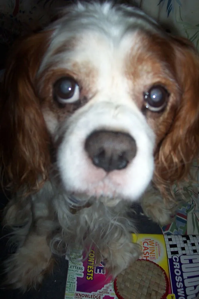 My Boy Zac.  Was 14 1/2 When I Lost Him.  Love Him Forever.