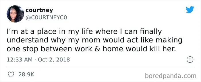 Tweet about understanding adult life humorously.