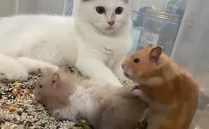 This Facebook Page Is All About Animal Images That Need To Be Seen (50 New Pics)