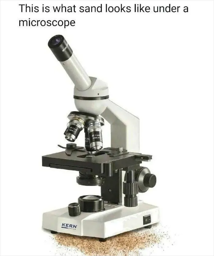 This Page Is Posting ‘Bad Science Jokes’ And Here Are 40 Of The Worst Ones