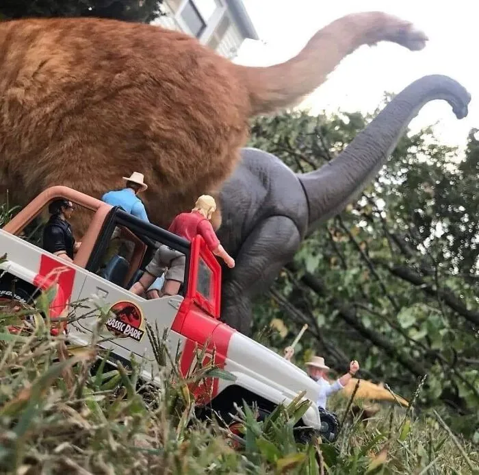 This Facebook Page Is All About Animal Images That Need To Be Seen (50 New Pics)