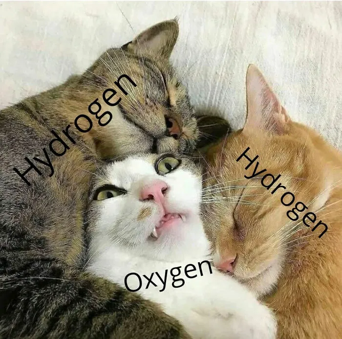 This Page Is Posting ‘Bad Science Jokes’ And Here Are 40 Of The Worst Ones