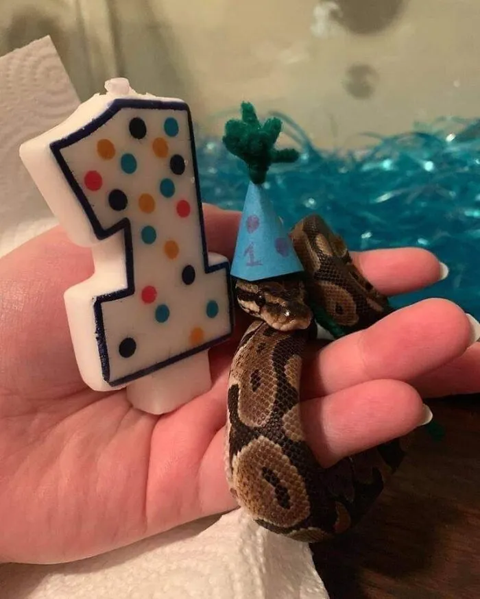 This Facebook Page Is All About Animal Images That Need To Be Seen (50 New Pics)