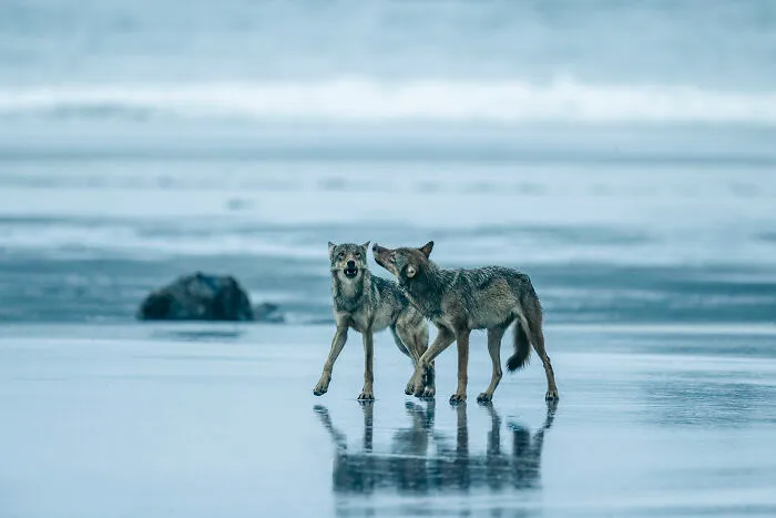 Exploration Photographer, Steve Woods