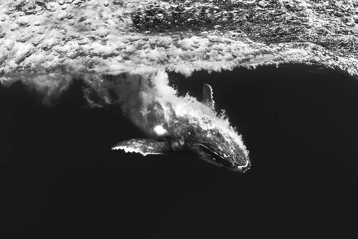 Adventure Photographer, Scott Portelli