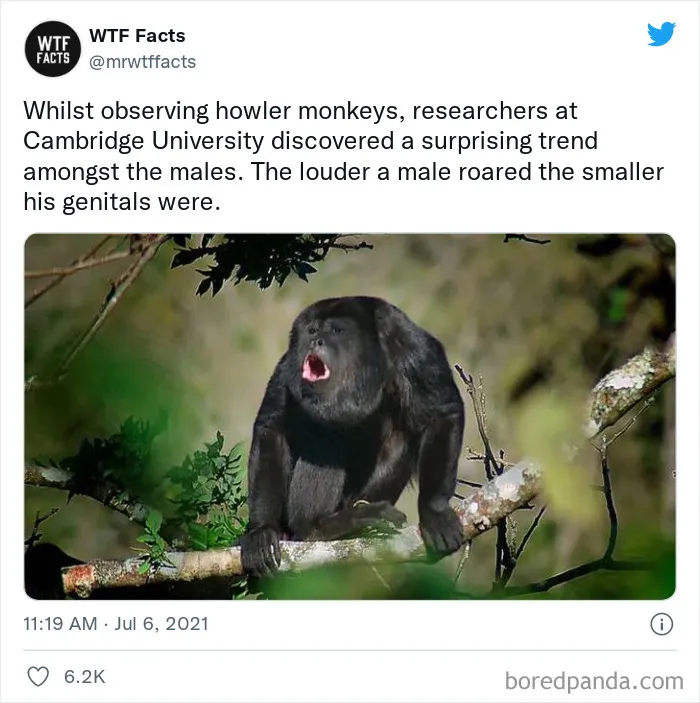 This Twitter Page Posts Random Interesting Facts, And Here Are 40 Of The Best Ones (New Pics)