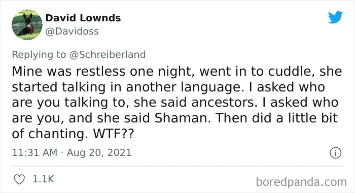 30 Parents Share How Their Kids Casually Dropped Some Creepy Sentences That Sent Chills Down Their Spines