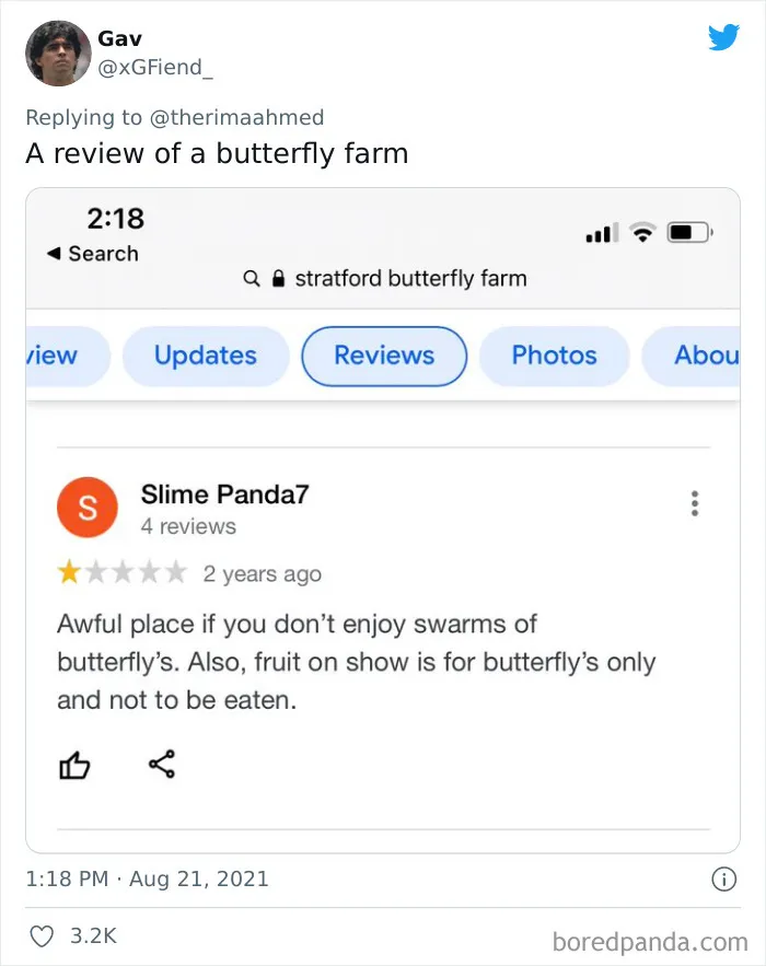 'Google Reviews Drama Is Absolutely Unbeatable' - People In This Thread Are Sharing The Wildest Reviews They've Seen
