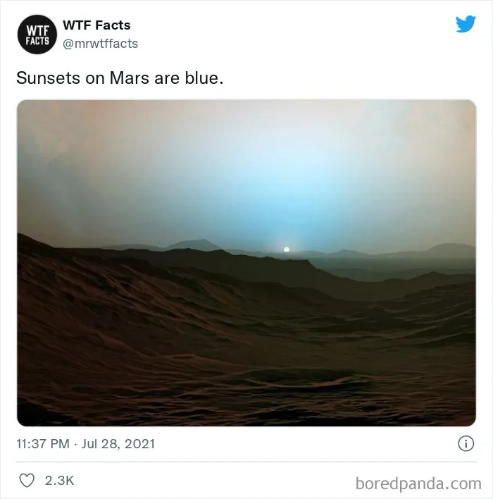 This Twitter Page Posts Random Interesting Facts, And Here Are 40 Of The Best Ones (New Pics)