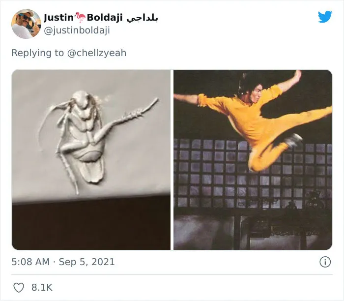 Texas Woman Shares How Her Landlord Painted Over A Roach And The Internet Responds With These 30 Memes And Jokes