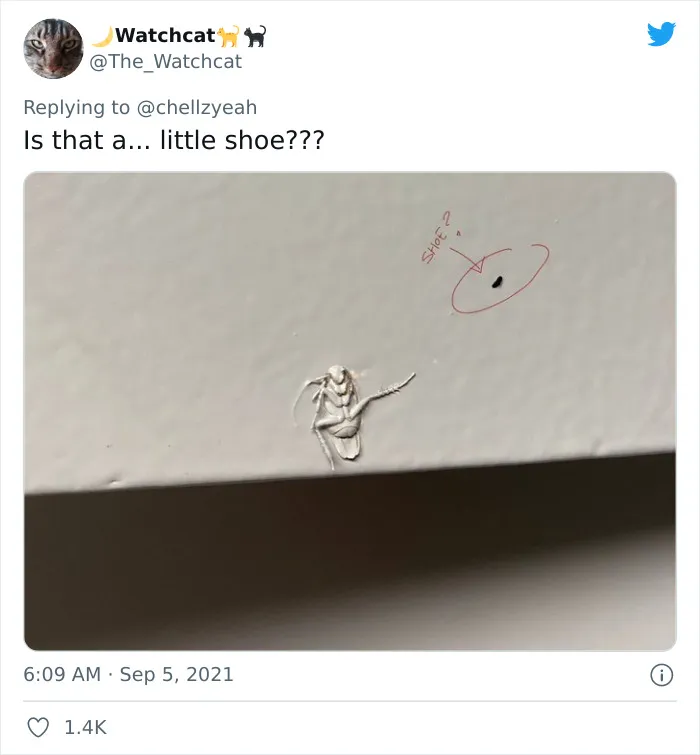 Texas Woman Shares How Her Landlord Painted Over A Roach And The Internet Responds With These 30 Memes And Jokes