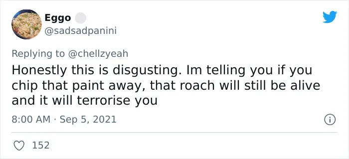 Texas Woman Shares How Her Landlord Painted Over A Roach And The Internet Responds With These 30 Memes And Jokes