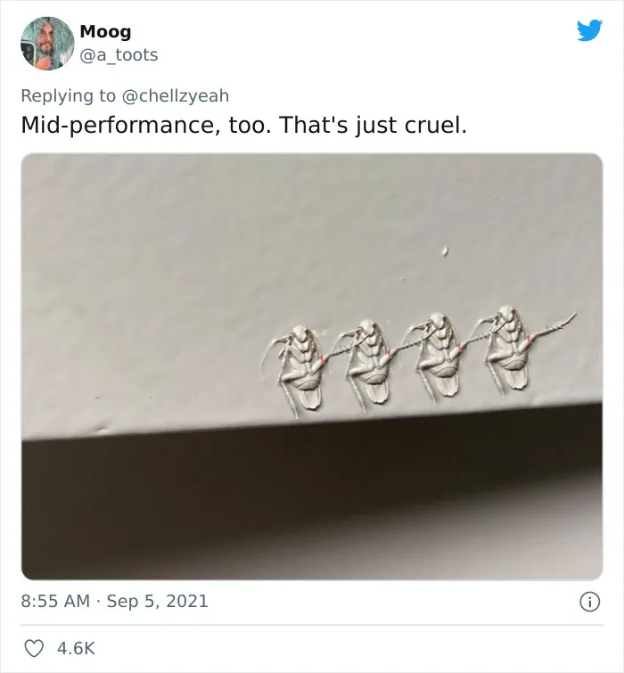 Texas Woman Shares How Her Landlord Painted Over A Roach And The Internet Responds With These 30 Memes And Jokes