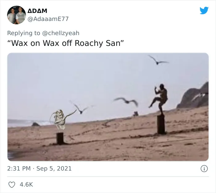 Texas Woman Shares How Her Landlord Painted Over A Roach And The Internet Responds With These 30 Memes And Jokes