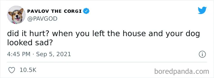 30 Of The Best “Did It Hurt?” Memes That Are Trending On Twitter