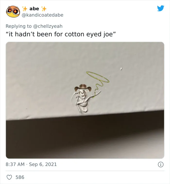 Texas Woman Shares How Her Landlord Painted Over A Roach And The Internet Responds With These 30 Memes And Jokes