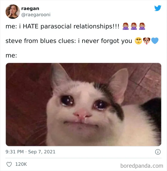 The Internet Memed The Hell Out Of Steve’s Wholesome Message, Here Are 30 Of The Best