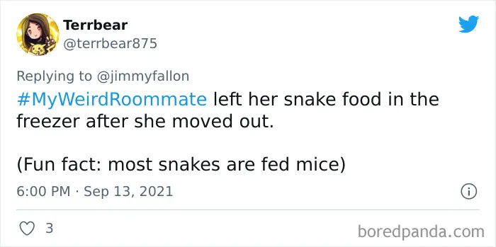35 Weird And Embarrassing Roommate Stories Shared For Jimmy Fallon’s Challenge