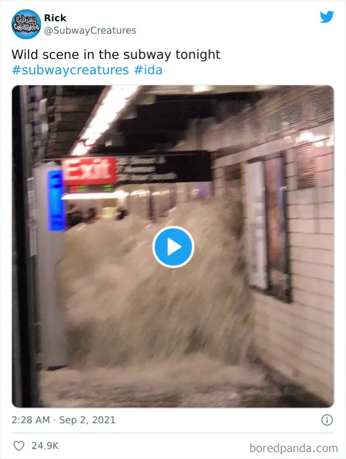 30 Photos From The Apocalyptic Flooding That Hit New York City
