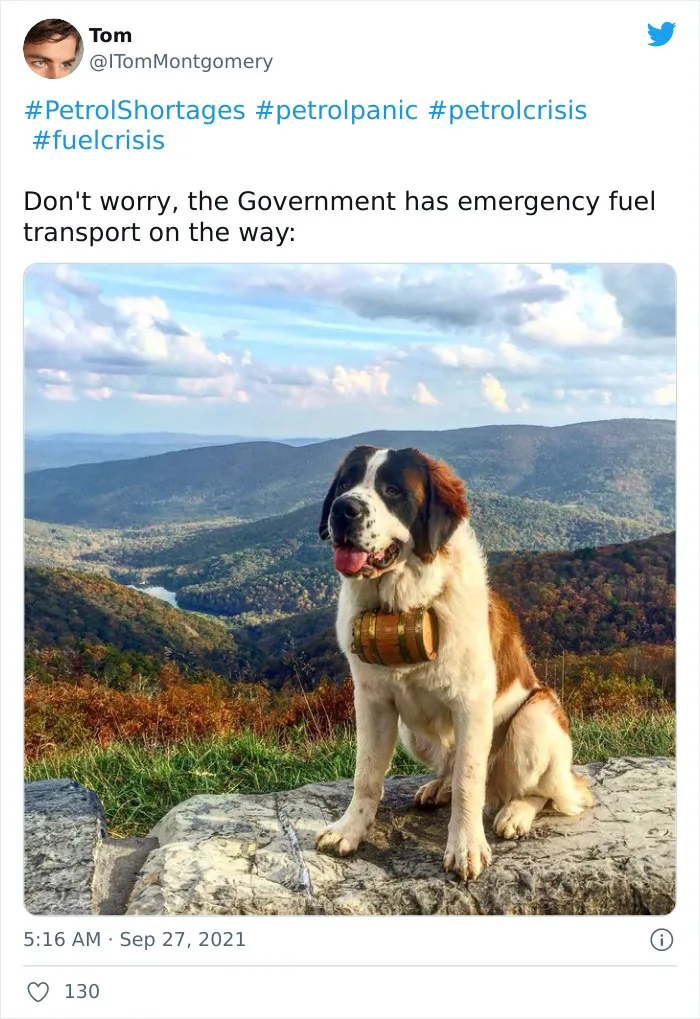 30 Of The Funniest Petrol Shortage Jokes And Memes As Twitter Reacts To The UK’s Panic Buying