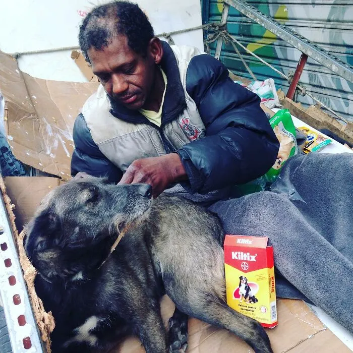 30 Photos That Document The Lives Of Homeless People And Their Dogs In Brazil Shared On This IG Page