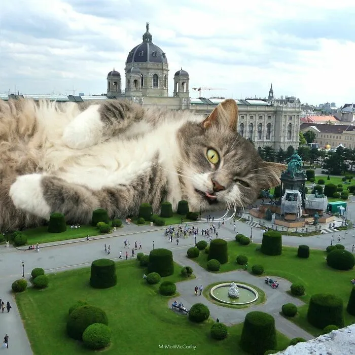 91 Surreal Photo Edits With Giant Cats By Matt McCarthy (New Pics)