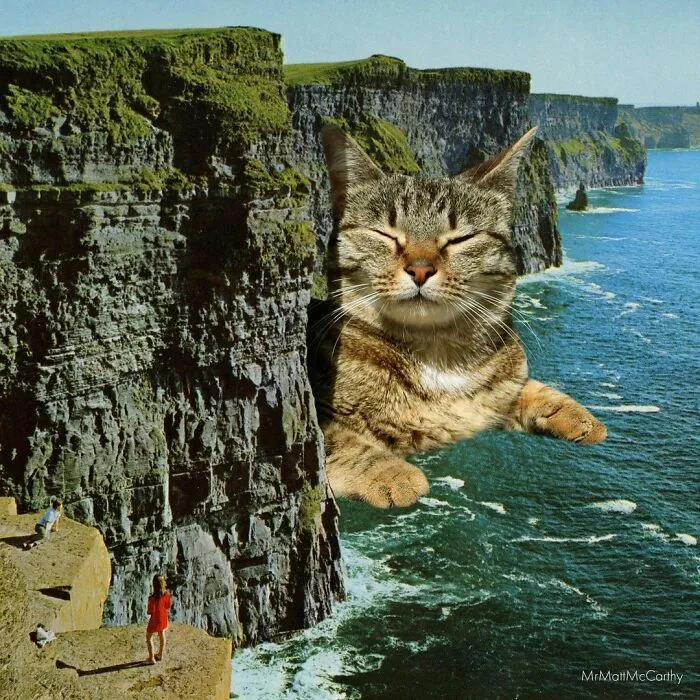 91 Surreal Photo Edits With Giant Cats By Matt McCarthy (New Pics)