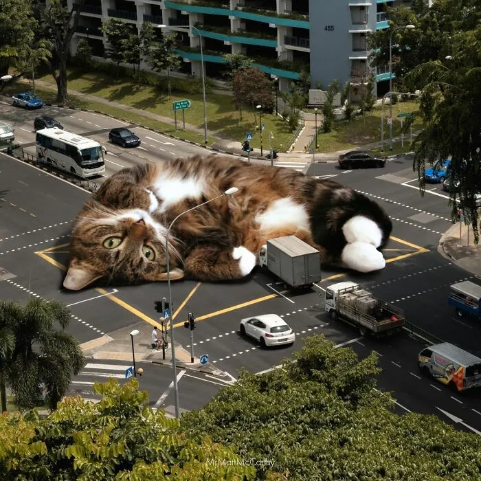 91 Surreal Photo Edits With Giant Cats By Matt McCarthy (New Pics)