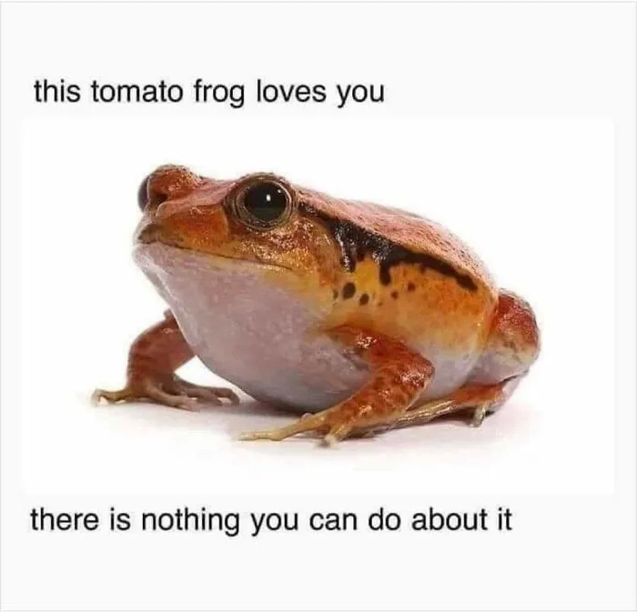 35 Funny Memes On Everyday Life With A Positively Aggressive Twist