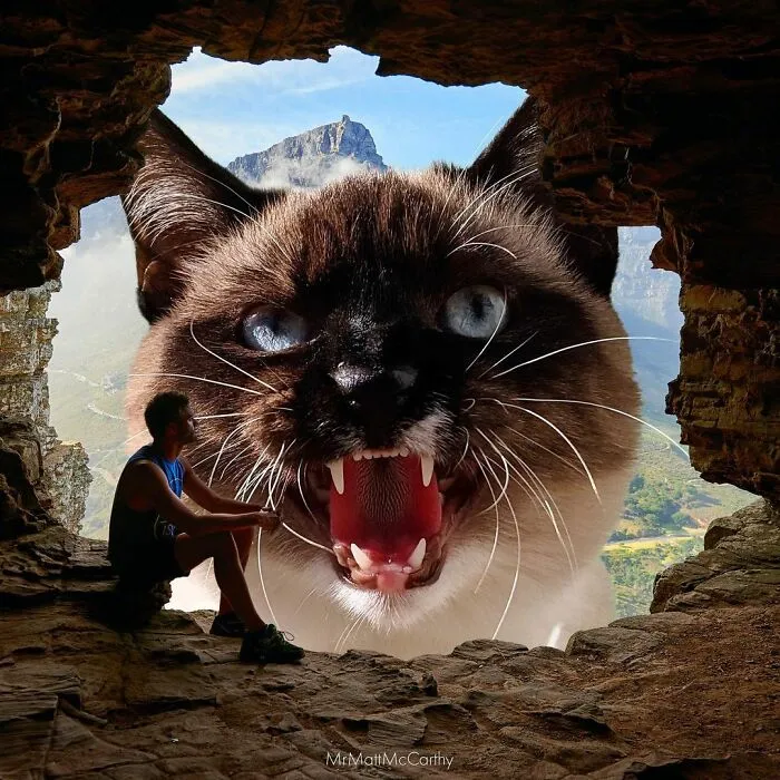 91 Surreal Photo Edits With Giant Cats By Matt McCarthy (New Pics)