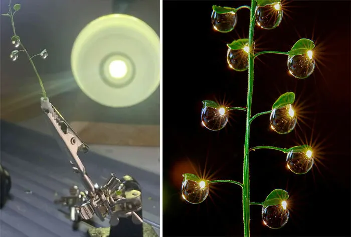 Photographer Gives A Glimpse Of How He Makes His Photos Using Water Droplet Techniques (88 Pics)
