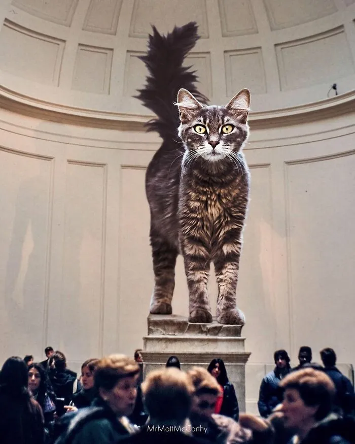 91 Surreal Photo Edits With Giant Cats By Matt McCarthy (New Pics)