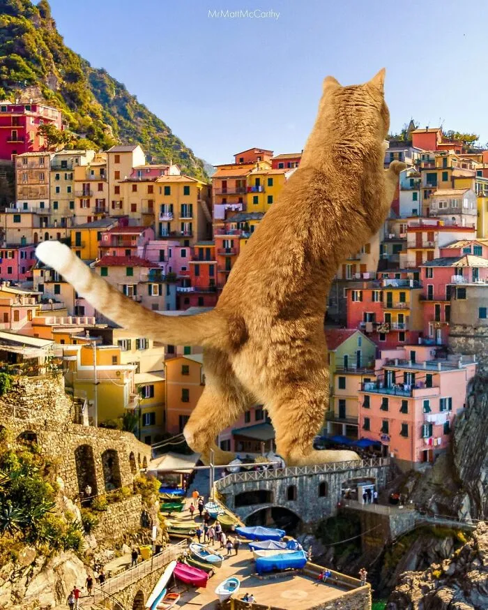 91 Surreal Photo Edits With Giant Cats By Matt McCarthy (New Pics)