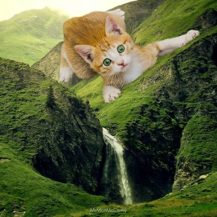 91 Surreal Photo Edits With Giant Cats By Matt McCarthy (New Pics)