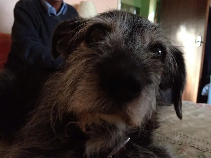 Pretty Peggy-Sue - 17 And A Half Years Young!