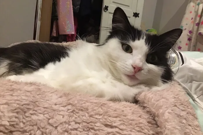 My Baby Boop