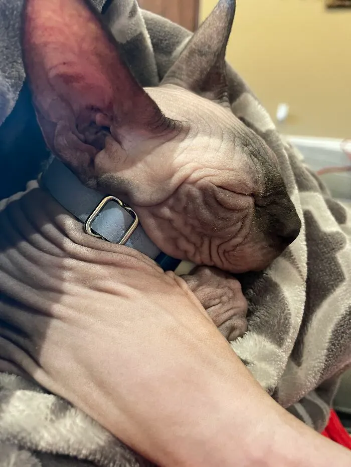 This Naked Baby Loves Extra Cuddles In Fall!