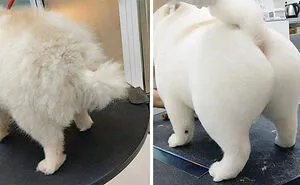 This Facebook Page Is All About Animal Images That Need To Be Seen (50 New Pics)