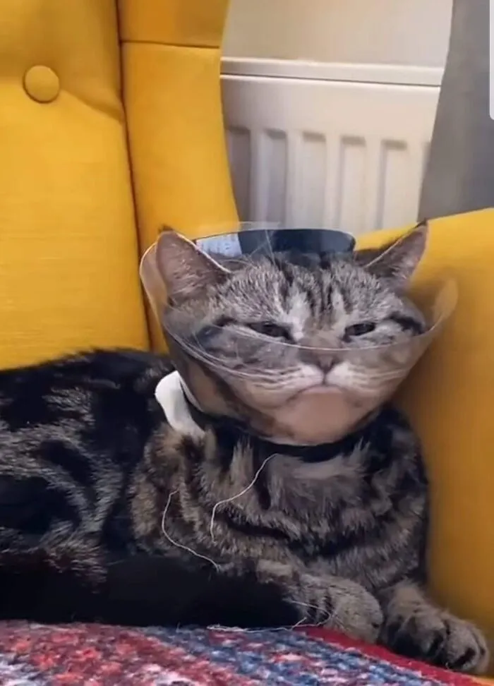 This Facebook Page Is All About Animal Images That Need To Be Seen (50 New Pics)