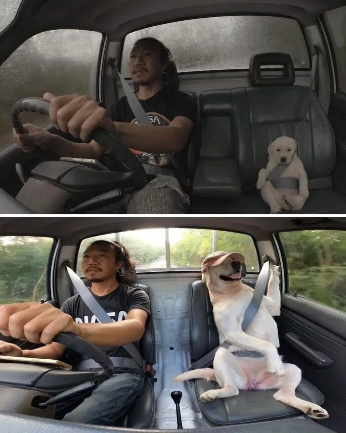This Facebook Page Is All About Animal Images That Need To Be Seen (50 New Pics)