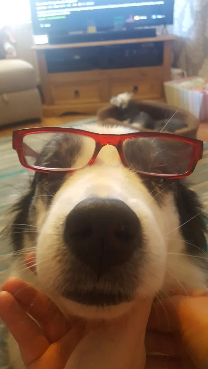 Boop!