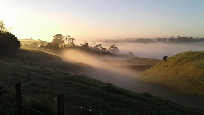 Misty Morning - The View From My Kitchen