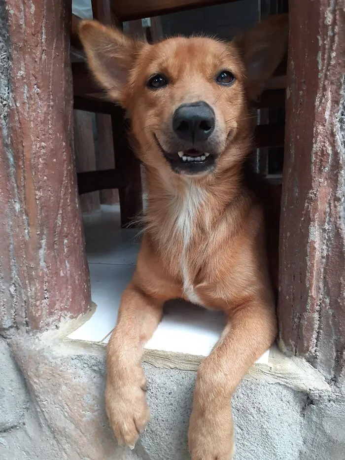 Our Lovely Bennett