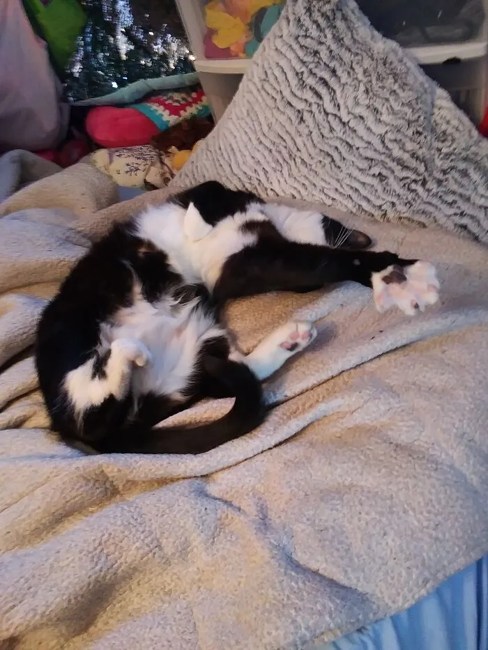 Streeeeeeeach Those Beans!!!