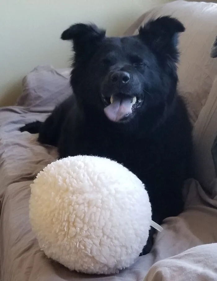 Whoa, Toys Make Me Feel So Good